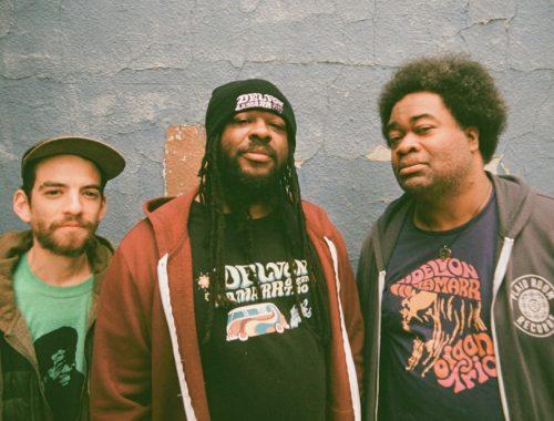 www.thewickedsound.com FUNK Delvon Lamarr Organ Trio Don'tWorry 'Bout What I Do [Colemine Records]